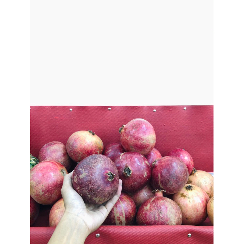 

Buah Delima Merah