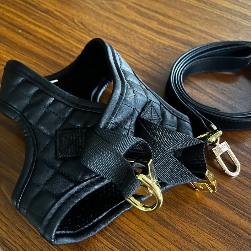 Leather premium guchew gold logo harness set