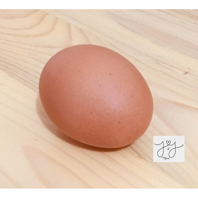 

Fresh | Telur ayam 1 butir