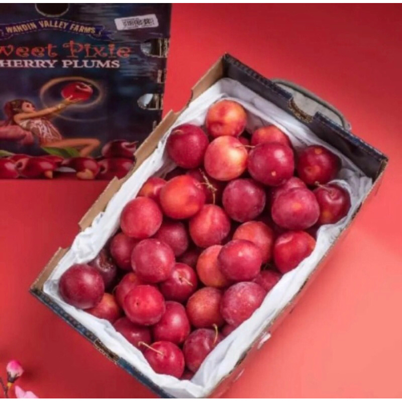 

Plum Cherry Australia 2 kg spesial Gift box