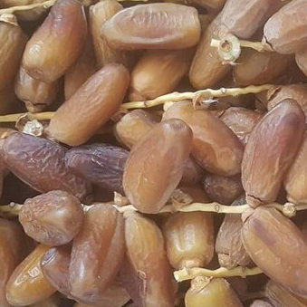 

kurma tangkai 1kg kemasan dus/kurma palm/kurma tunisia [kemasan plastik tebal]