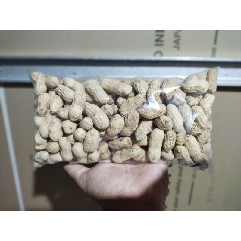 

Kacang Kulit Goreng Premium