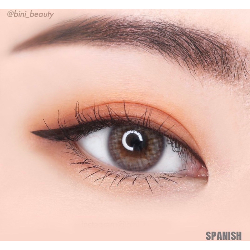 Softlens Princess Spanish Grey / Gray / Abu Normal Minus Beda Minus