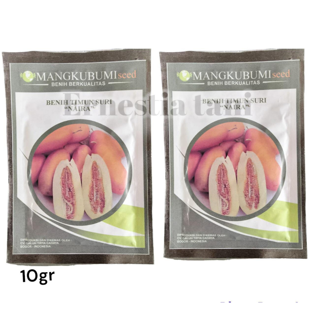 Benih Timun Suri NAIRA 10 gram  Bibit Timun Suri unggul  Benih Timun Suri Kuning - Bibit Bonteng Sur
