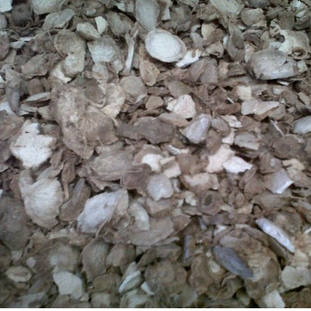 

TERBAIK KUNYIT PUTIH IRIS KERING 100 GRAM