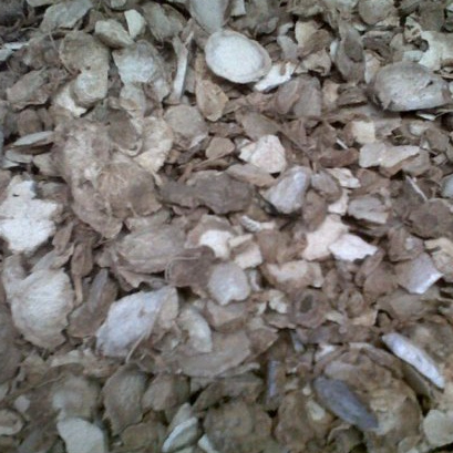 

TERBAIK KUNYIT PUTIH IRIS KERING- 250 GRAM