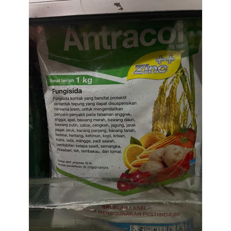 Antracol 1kg Fungisida