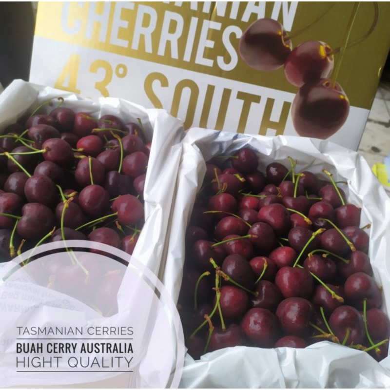 

BUAH CHERRY PREMIUM / TAZMANIAN CHERRIES 43 SOUTH
