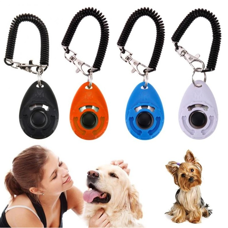 Pet clicker training dog