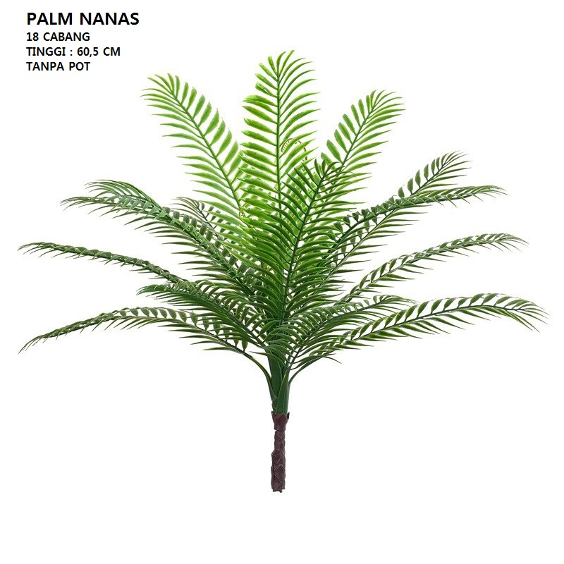 Pohon Palm Pakis Tinggi 1,25 METER ( Tanpa Pot )