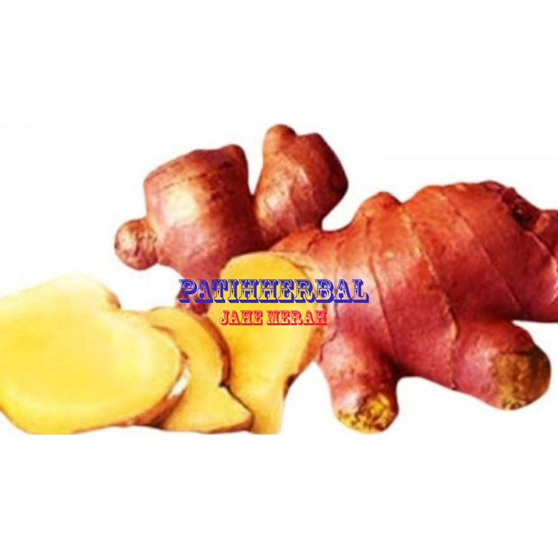 

Jahe Merah untuk bumbu masakan 500 gram