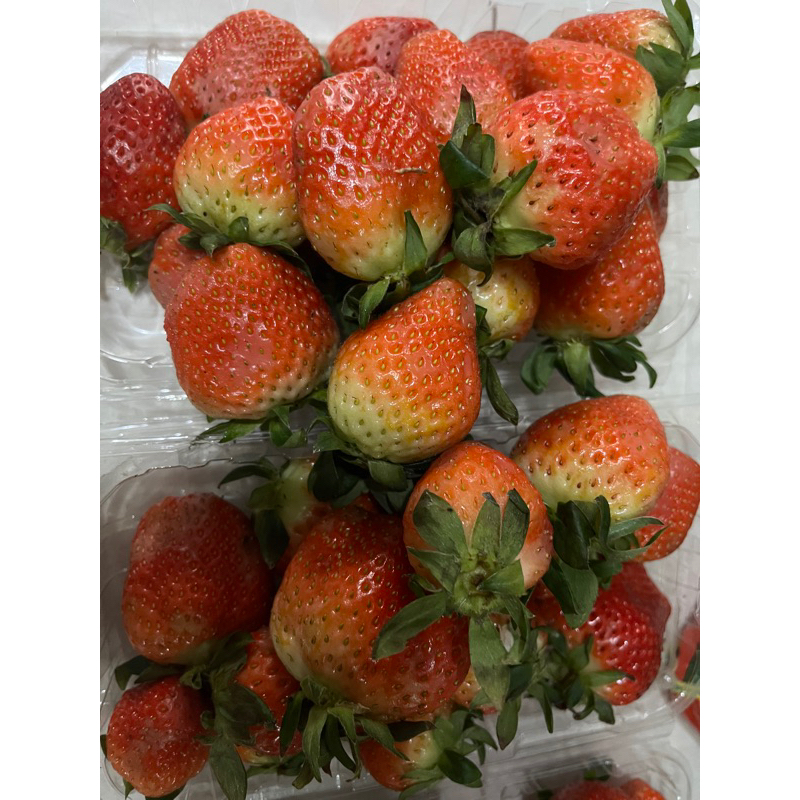 

Sale sortiran bagus Strawberry USA size sedang kecil lecet dikit 250 gram per pack manis