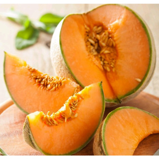 5 Benih Melon Madu Hibrida Bibit Tanaman Buah Segar #1