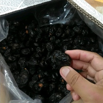 

Kurma Ajwa 10kg / Kurma Ajwa Madinah Premium 10kg