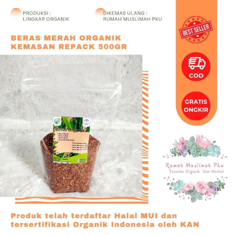 

BERAS MERAH ORGANIK KEMASAN REPACK 500GR