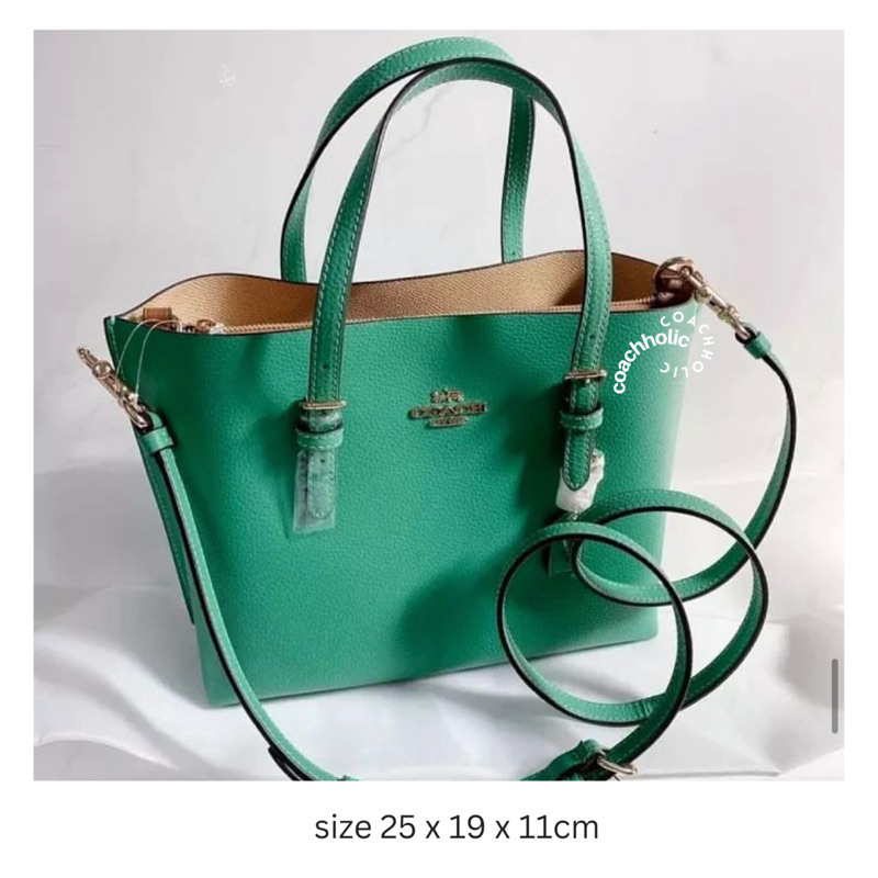 coach mollie tote