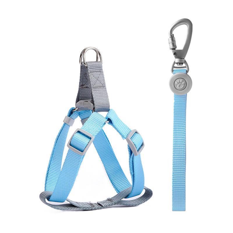 Kiyopet korea pastel H harness set