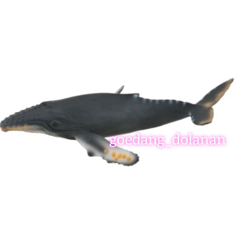 Collecta Figure Humpback Whale 88347