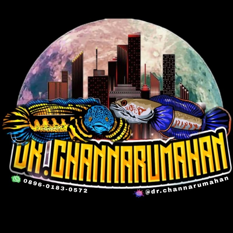 IKAN CHANA JENIS ANDRAO