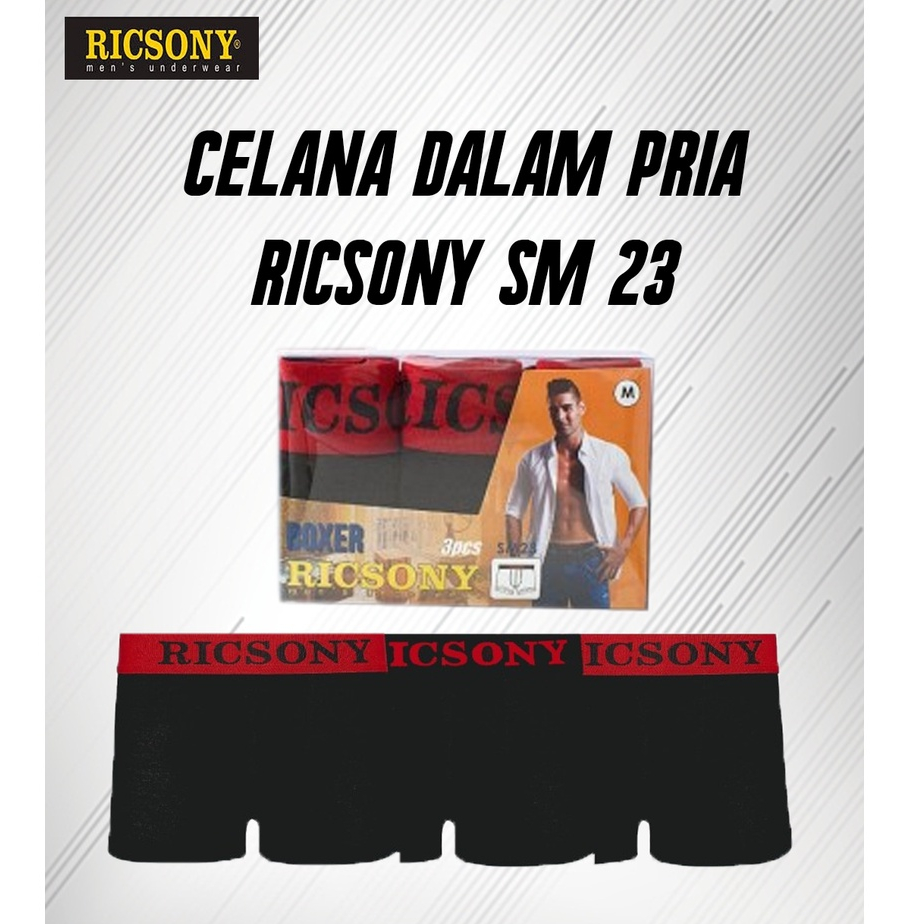 CELANA DALAM PRIA RICSONY