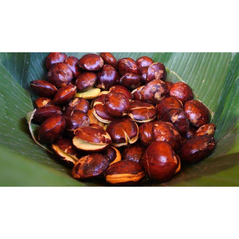 

Jengkol Tua 250gr