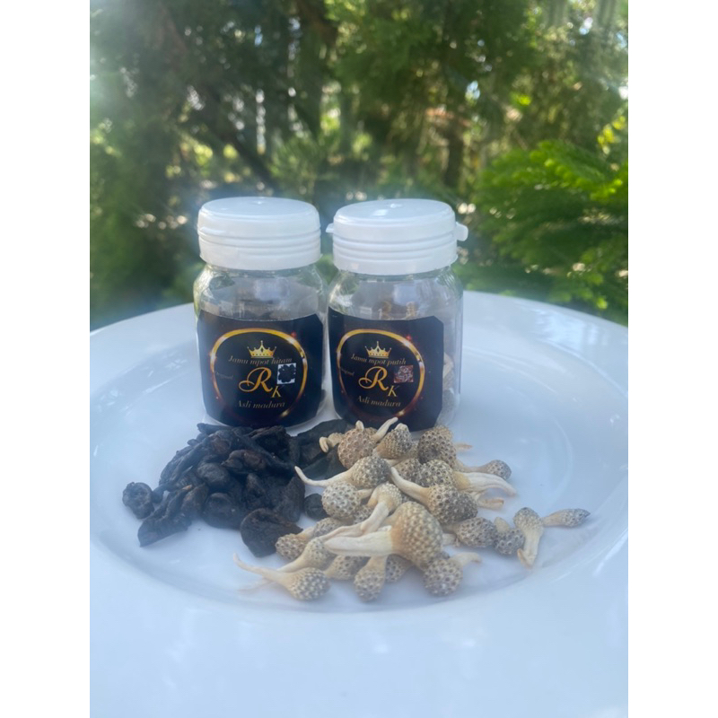 jamu empot ayam putih dan hitam R_k asli madura