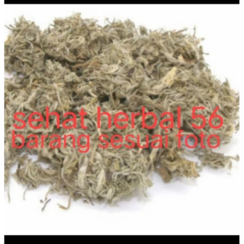 

mian Yin Chen Hao Artemisia wormwood 600gram