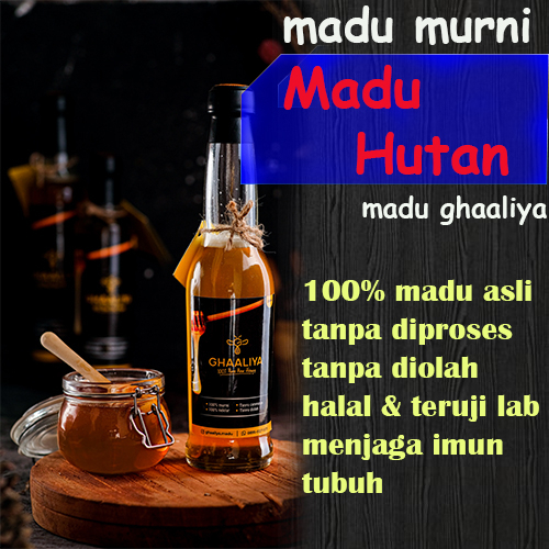 

Madu murni 100% asli obat herbal promil untuk asam lambung kolesterol dan maag Ghaaliya madu apis dorsata hutan Jabar