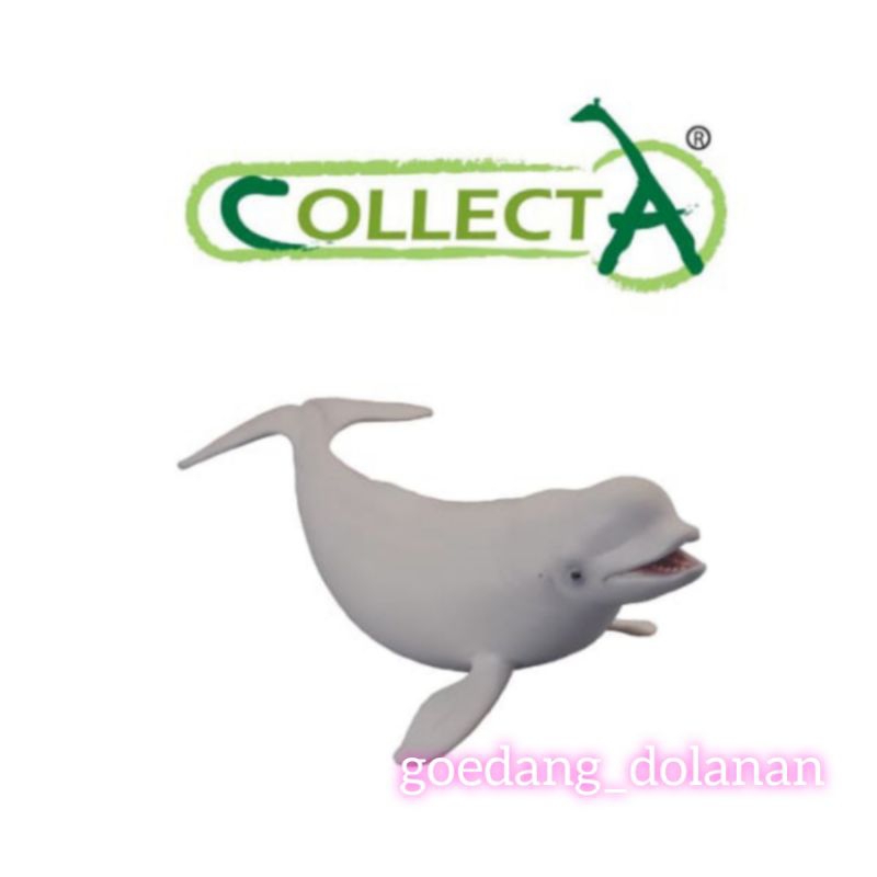 Collecta Figure Beluga Whale 88568