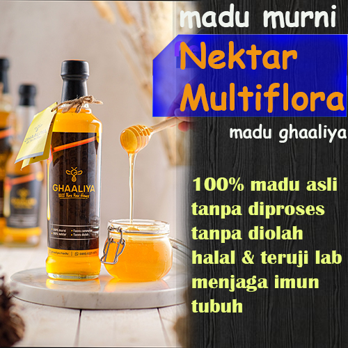 

Madu murni 100% asli obat herbal promil untuk asam lambung kolesterol dan maag Ghaaliya nektar multiflora