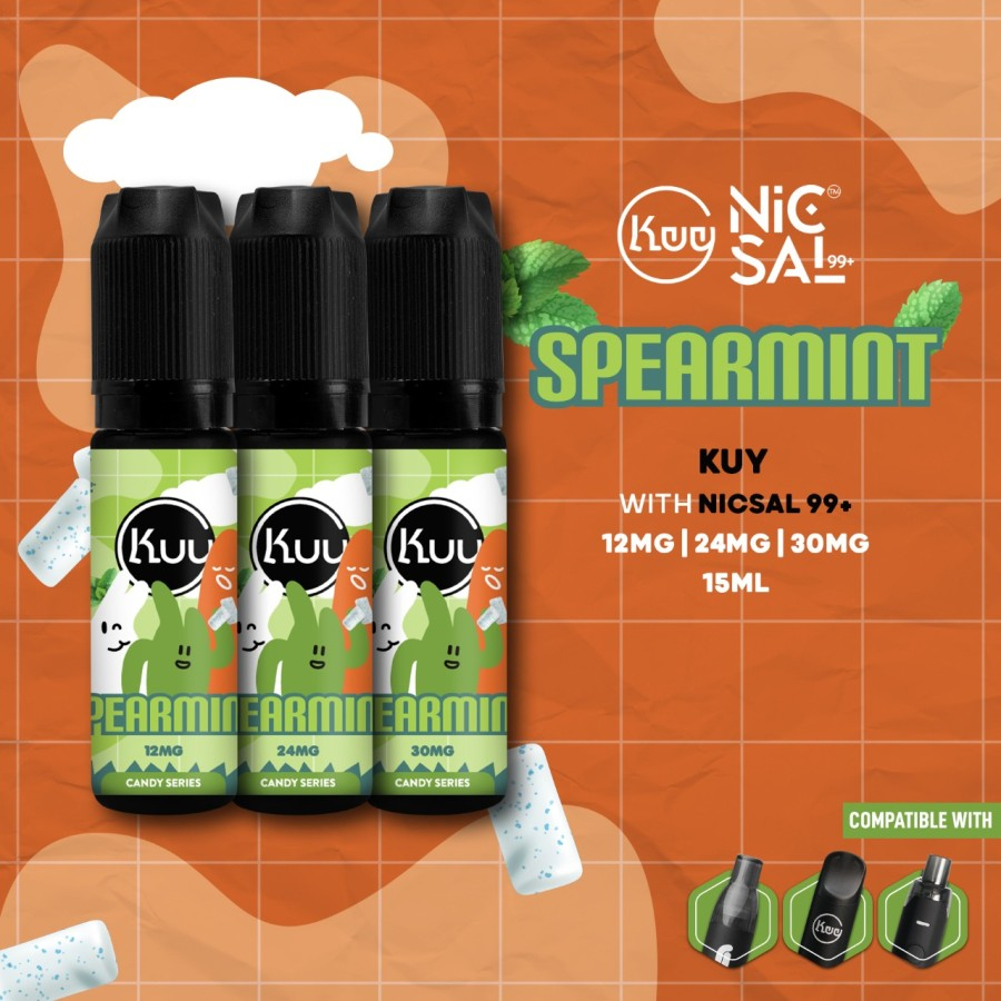 Kuy Spearmint Salt Nic 15ML by MOVI