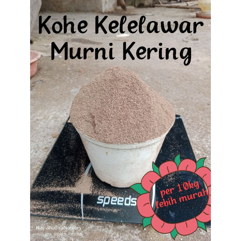 Jual Pupuk Guano Super Kohe Kelelawar Halus Murni Kering Kemasan Kg Shopee Indonesia