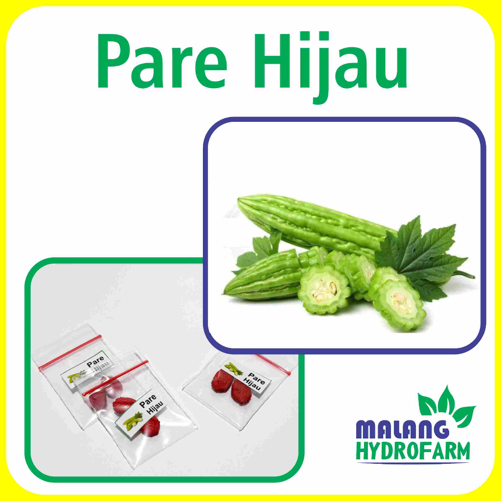 Benih Pare Hijau / Paria Kodok Unggulan berkualitas biji bibit hydroponik hidroponik sayuran tanaman