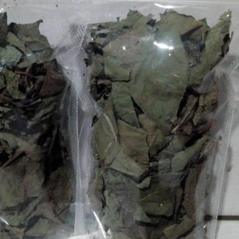 

TERBAIK JAMU DAUN SAMBUNG NYOWO KERING 250 GRAM