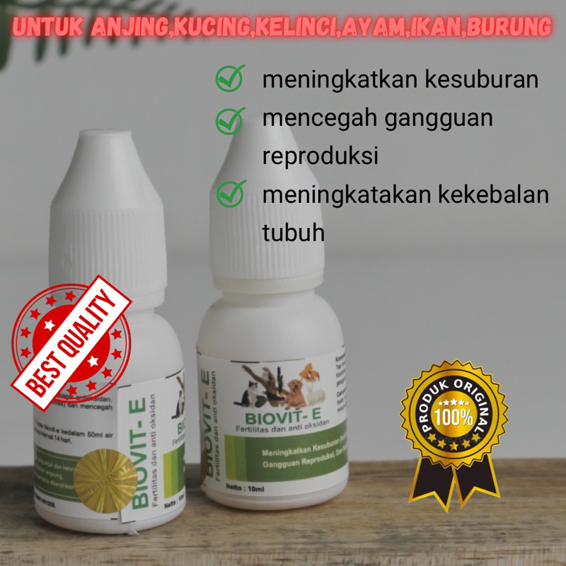 vitamin kucing,anjing,burung,ayam,kelinci,ikan/vitamin kesuburan dan gangguan reproduksi | BIOVIT-E