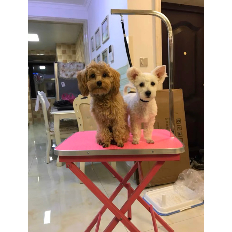 Portable Pet Grooming TABLE