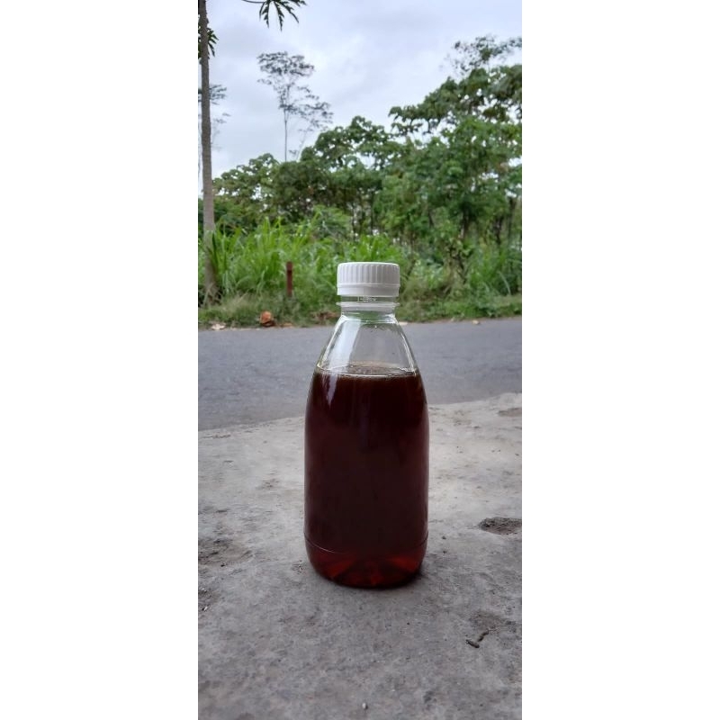 

MADU AKASIA JAMBI 450 gr