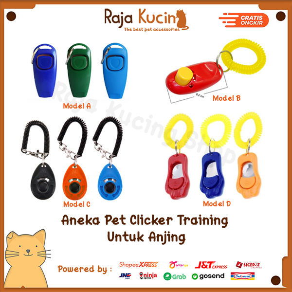 Pet clicker training dog
