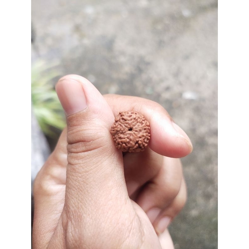 package bead mukhi 11 ,