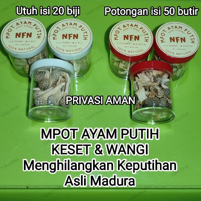 

MPOT AYAM PUTIH ASLI | MPOT PUTIH ALBINO ORIGINAL | isi 20-50 biji
