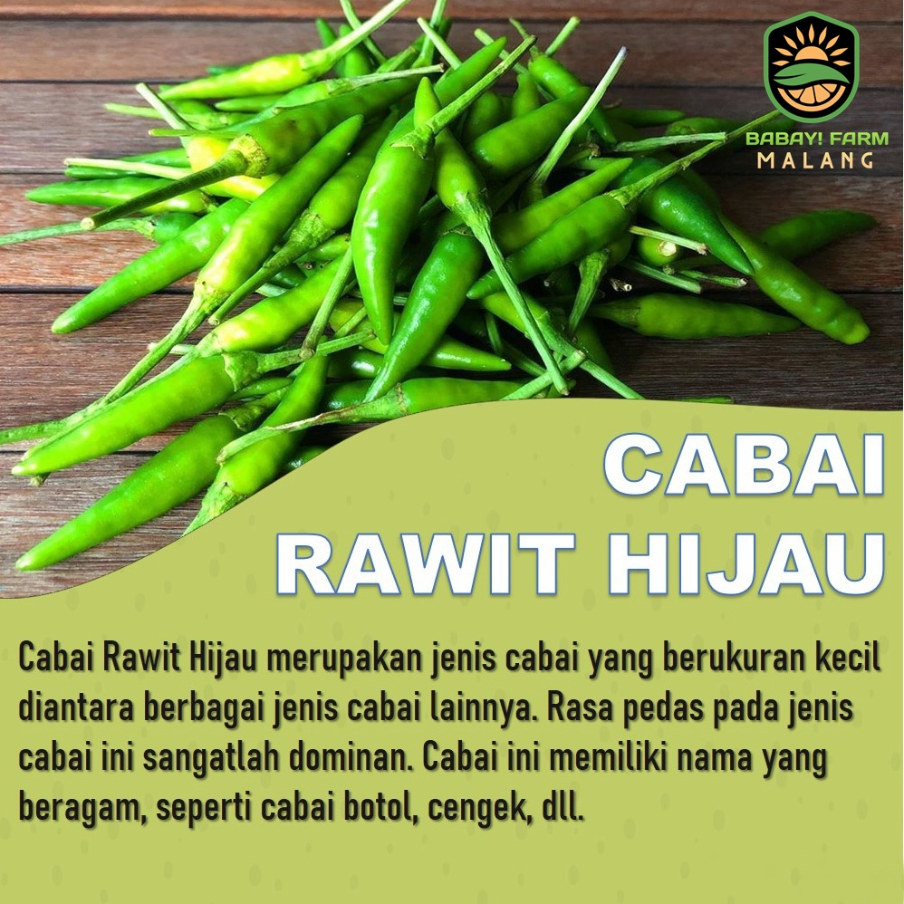 

Cabe Rawit / Cabai Rawit Hijau 250 gram