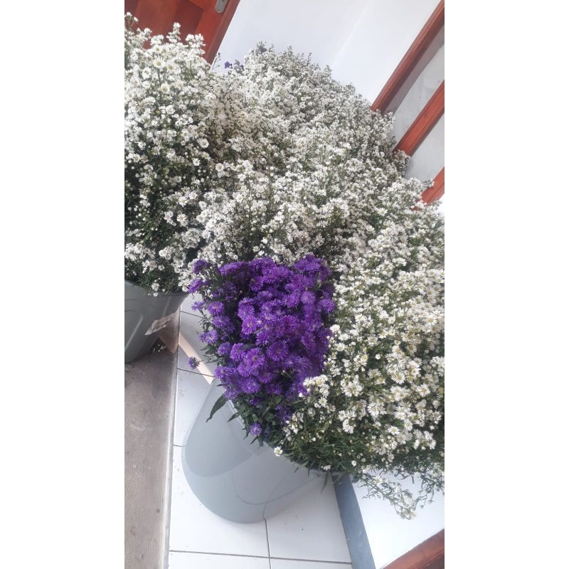 paketan bunga dekorasi acara pernikahan, tunangan, ulang tahun.