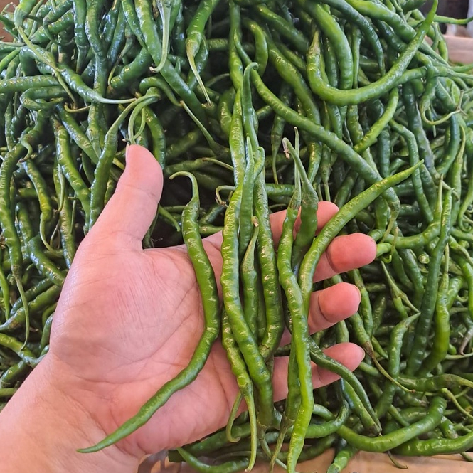 

Cabe Keriting Ijo 1kg