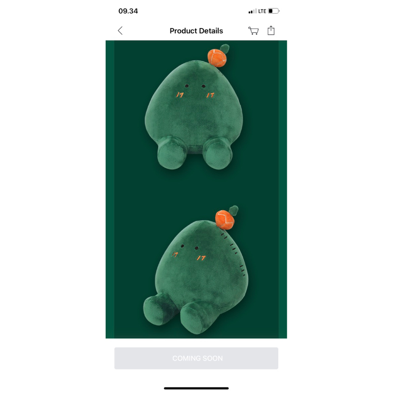 (DP) OPEN PO MERCH IN THE SOOP 2 SEVENTEEN