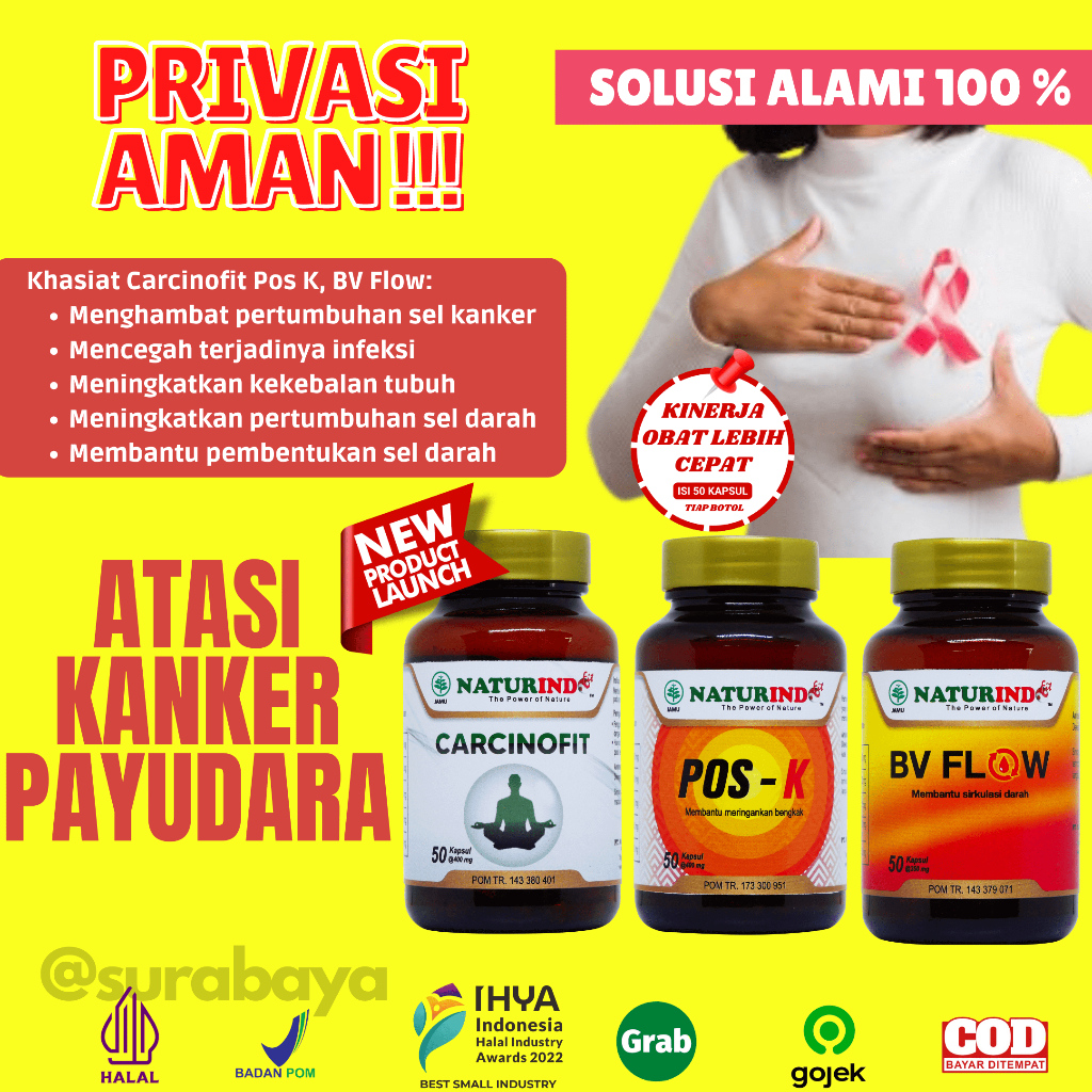obat benjolan payudara obat kanker payudara obat tumor payudara kanker serviks kanker herbal obat ka