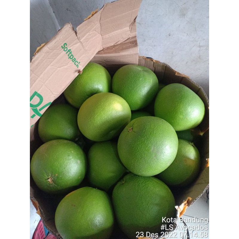 

jeruk.pamelo.supermanis.berkualitas.segar