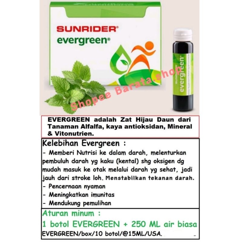 Sunrider Evergreen Promo Klorofil Hijau Daun Alfalfa Murni Melenturkan pembuluh darah dan Nutrisi al