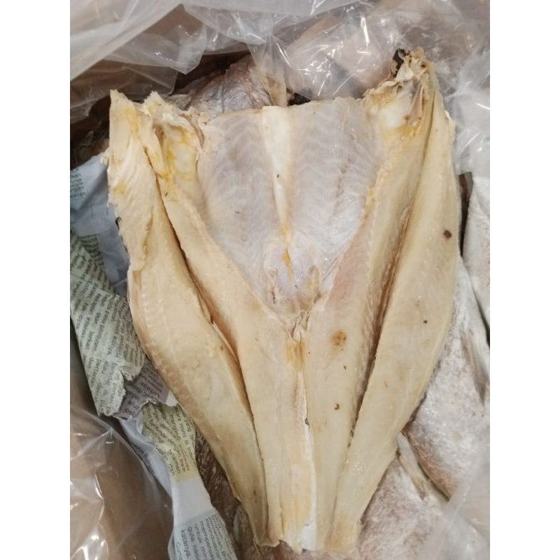 

Terlaris! Ikan Asin Jambal 1kg/Ikan Jambal Asin/Ikan Asin Jambal Roti