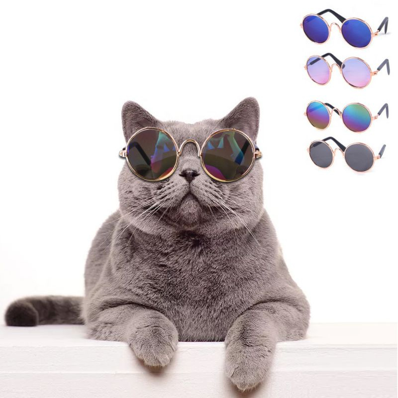 JT - Kacamata Kucing Keren Lucu Kaca Mata Kucing Anjing Cosplay Aksesoris Hewan Peliharaan Pet Properti Alat Peraga Foto Kucing