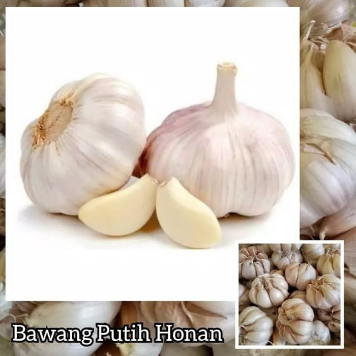 

Bawang Putih HONAN Bonggol Alami Garlic Grade A 100 gr